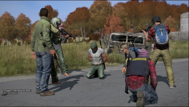 DayZ