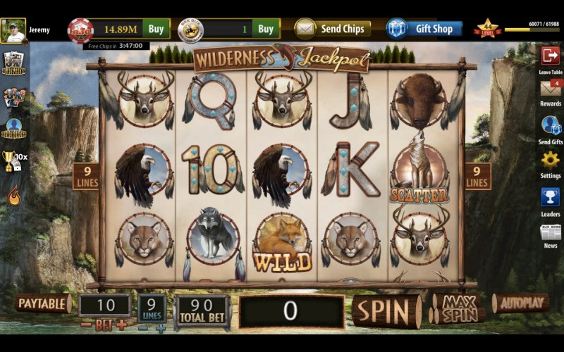 One of the Bee Cave's virtual slot machines.