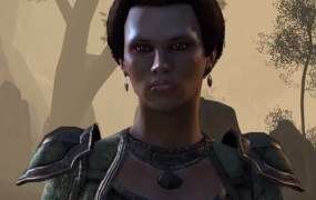 The Elder Scrolls Online's character shots