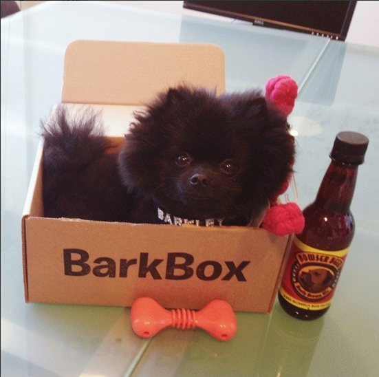 barkbox 3