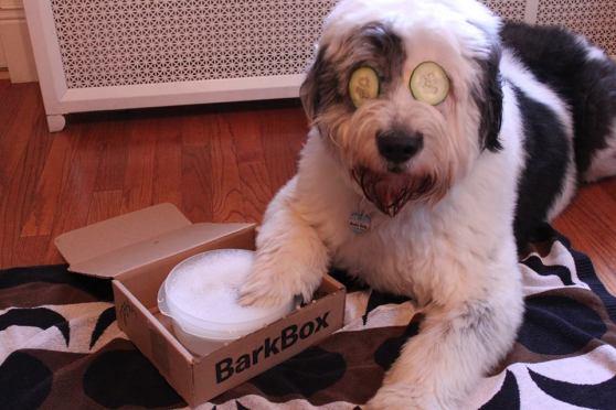 barkbox