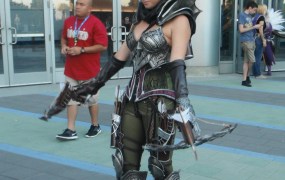 BlizzCon 2013
