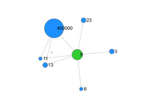 Predictive analytics examines relationships between people.