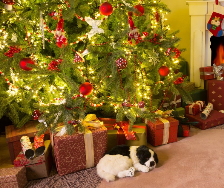 christmas tree