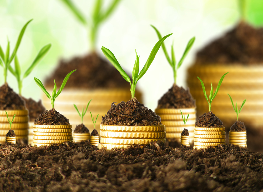 crowdfunding coins soil