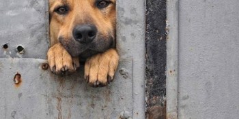 Funding Daily: No trespassing without treats edition
