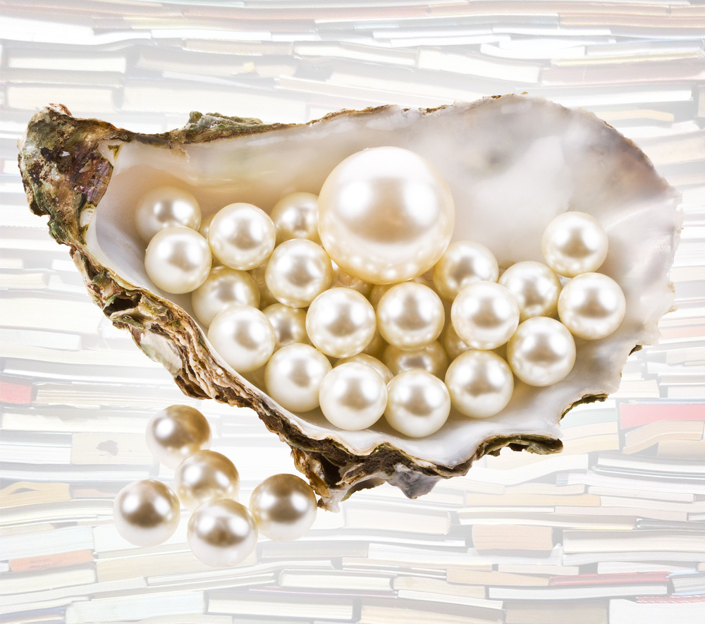 Oyster raised $14 million in a funding round led by Highland Capital Partners.