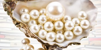 Oyster soaks up $14M to bring Netflix model to e-books