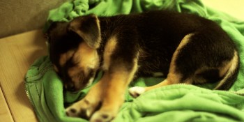 SleepRate claims to have 85% success rate helping insomniacs get to sleep