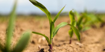 FarmLogs harvests $4M to make farming more profitable & productive