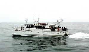 Facebook to test Bay Area ferry service for employees