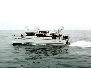 El Dorado III