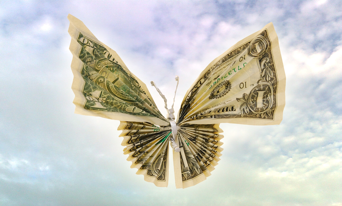 Money butterfly