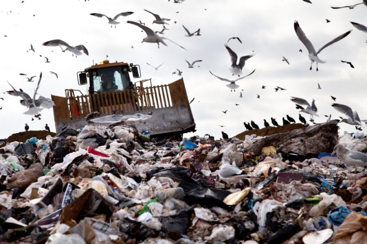 gargage dump landfill
