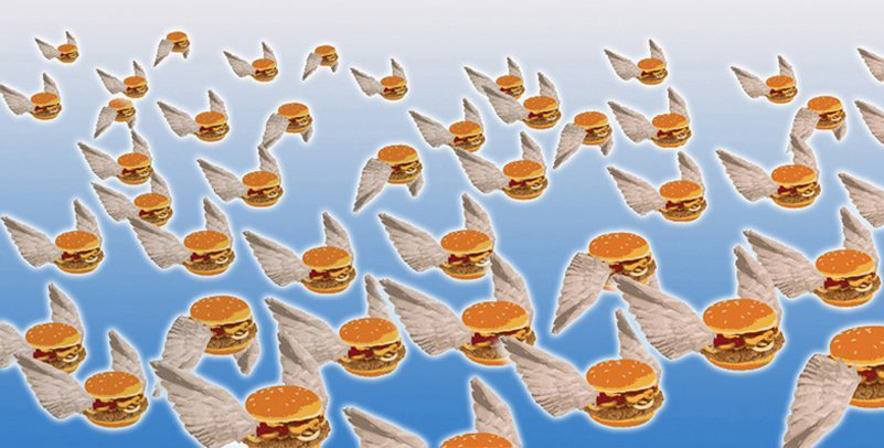 Flying hamburgers