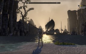 A third person perspective camera view of a character looking out at a beach at dawn, with Nordic ships lining the beach.