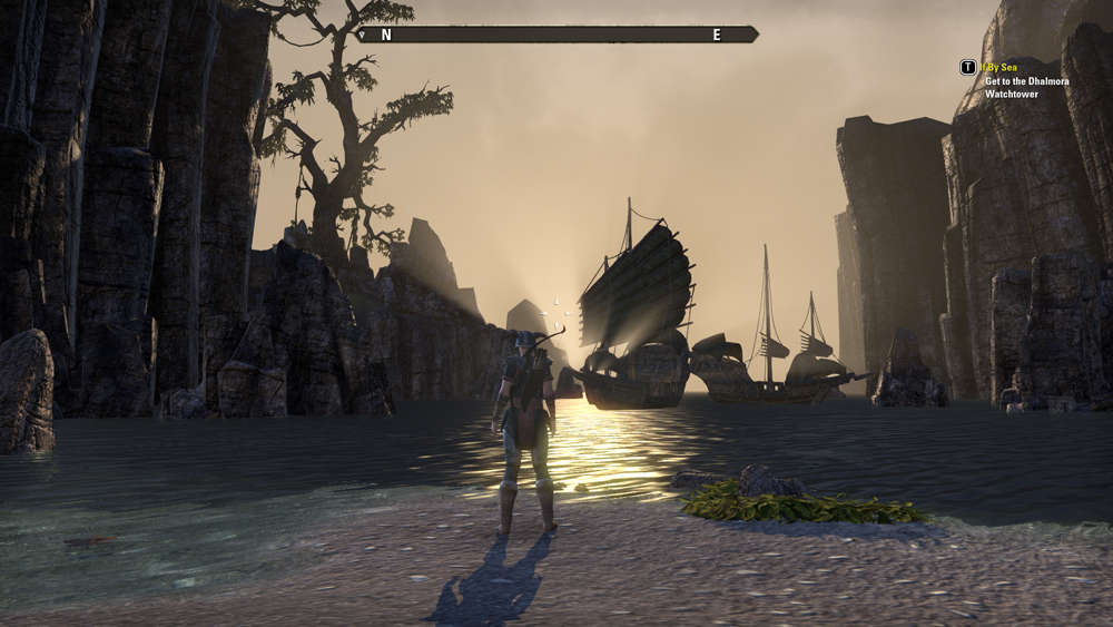 A third person perspective camera view of a character looking out at a beach at dawn, with Nordic ships lining the beach.