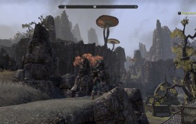 A third person perspective shot of a character standing on a rocky hill, with the giant mushrooms and cliffs of Morrowind in the background.