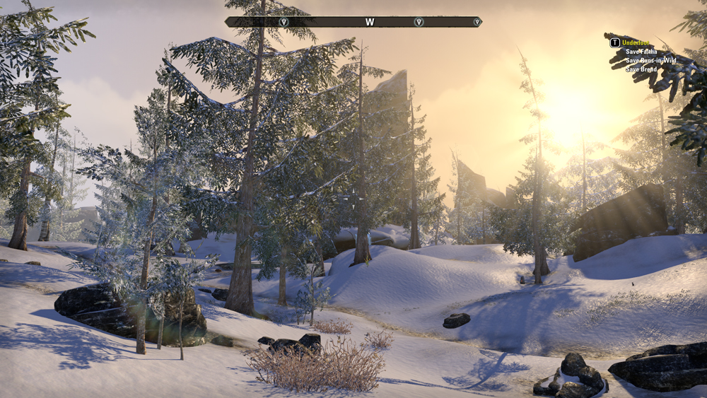 A picture of the snow-covered pinewood forest on Bleakrock Isle in The Elder Scrolls Online.