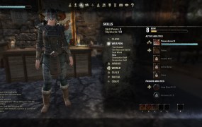 A picture of the skills screen in The Elder Scrolls Online. The character appears on the left side of the screen, and a series of skill charts are on the right.