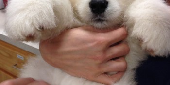 Funding Daily: Maximum fuzziness edition
