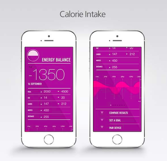 The GoBe wearable device is associated to a mobile app which displays calorie intake measurements.
