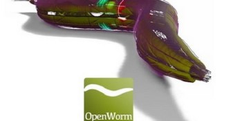 OpenWorm project wants you to help create the world’s first digital organism