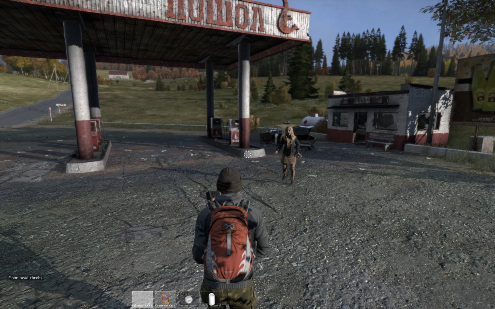 DayZ standalone