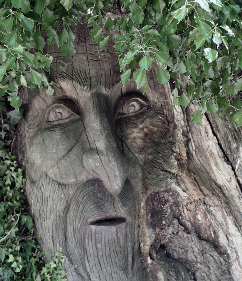 The tree man from Lord of The Rings, now possible via Windows Azure