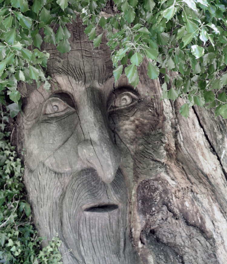 The tree man from Lord of The Rings, now possible via Windows Azure