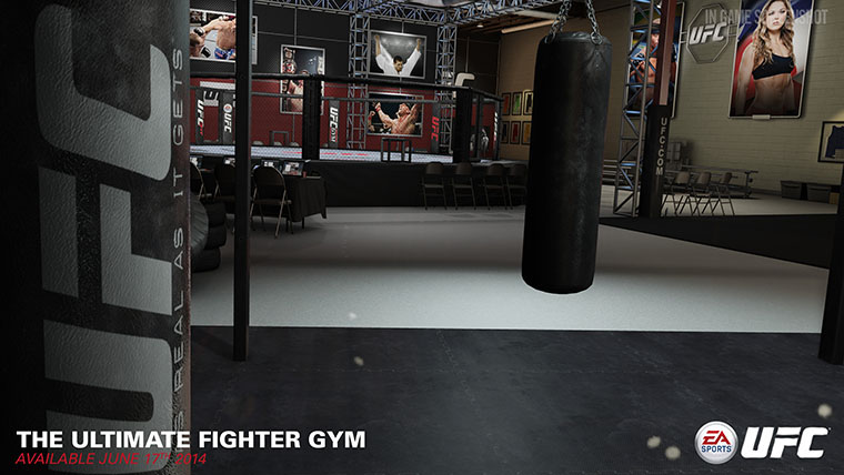 EA Sports UFC gym