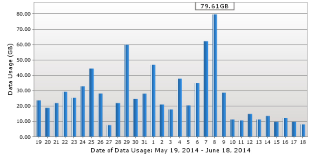 A graph showing Tyler Hayes' daily data usage.