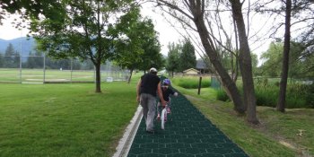 It's official: Everybody loves the idea of roads that generate solar power