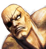 Sagat