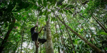 Rainforest-monitoring project hits Kickstarter goal early, ups the ante with tribal deals