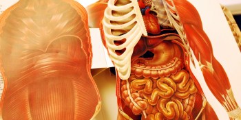 Google takes on the human body to find out what a healthy person looks like