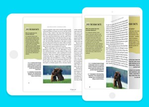 Epic also supports full-screen reading.