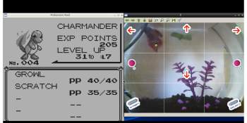 This fish is playing Pokémon Red and livestreaming on Twitch