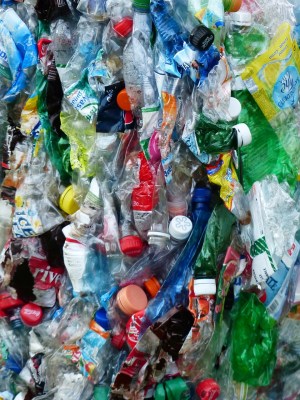 garbage-in-garbage-out