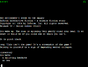 Hitchhiker's Guide Infocom text adventure