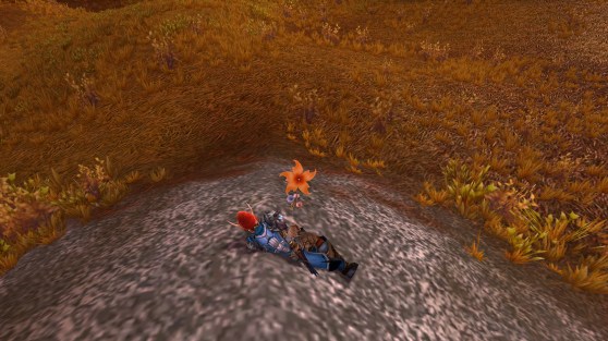 World of Warcraft mourning glory after rasha's