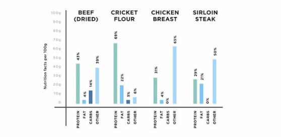 protein-graph