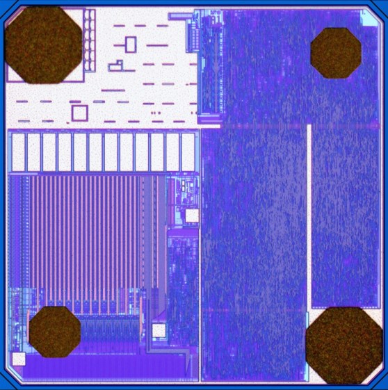 Alien Technology RFID Higgs 3 chip.