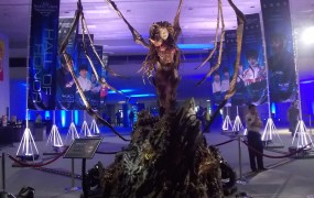 BlizzCon 2014