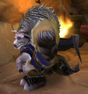 Gamon from World of Warcraft