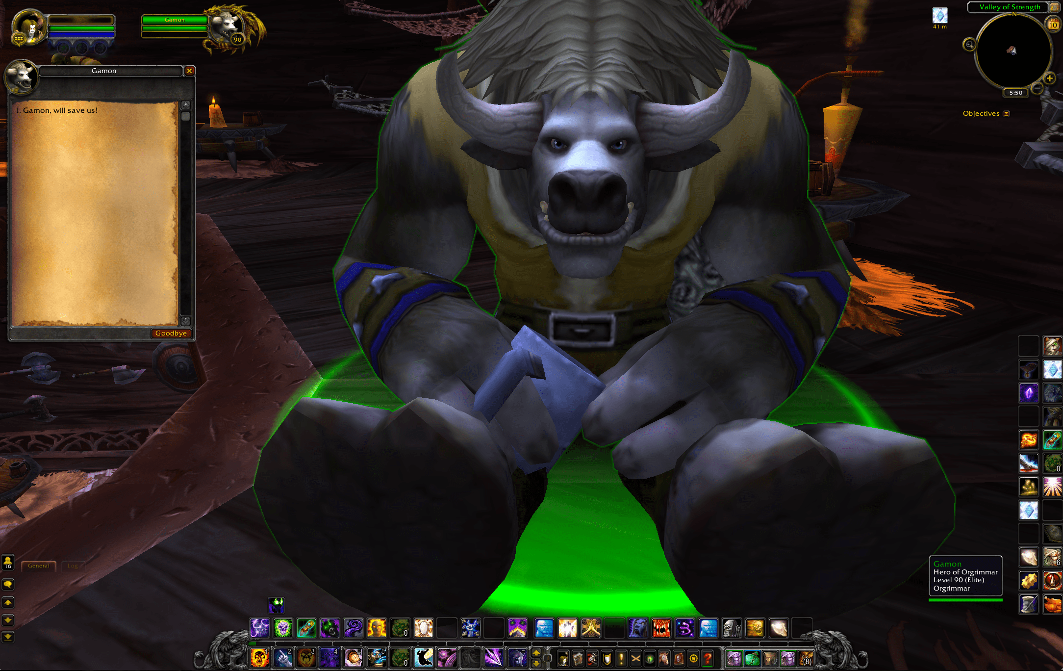 Gamon in World of Warcraft