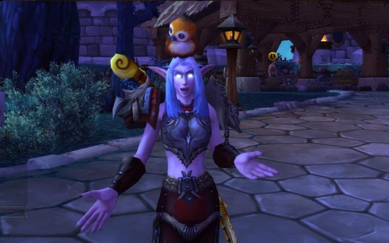 World of Warcraft Pepe the bird