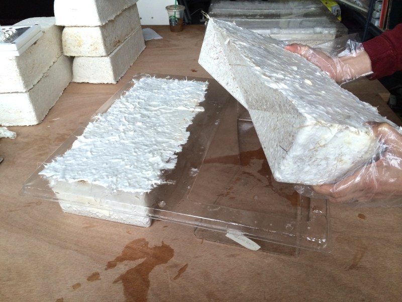 The organically-grown bricks used by The Living to make Hy-Fi.