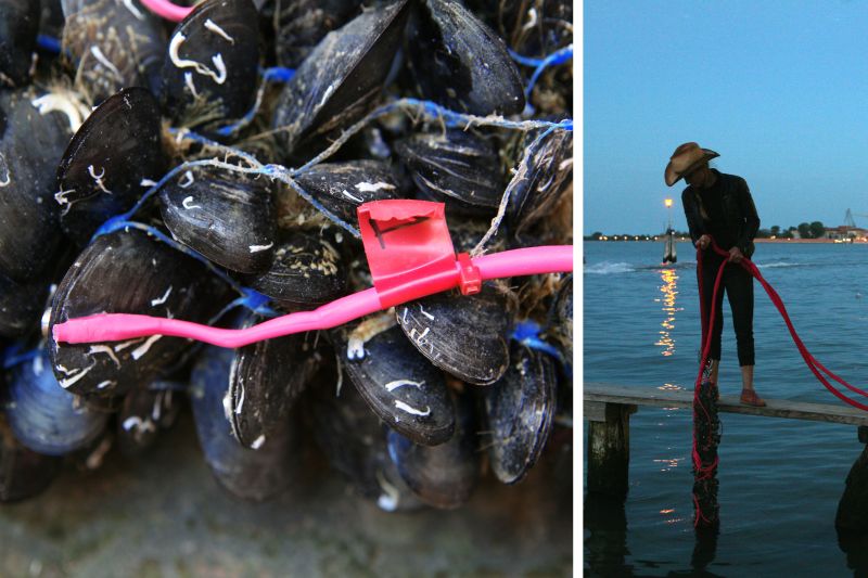 One of The Living's new projects is a floating pier that utilizes mussels to evaluate water quality.