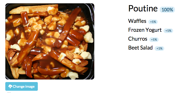 Yes, that is a picture of poutine that I uploaded. MetaMind's image classifier demo was right.